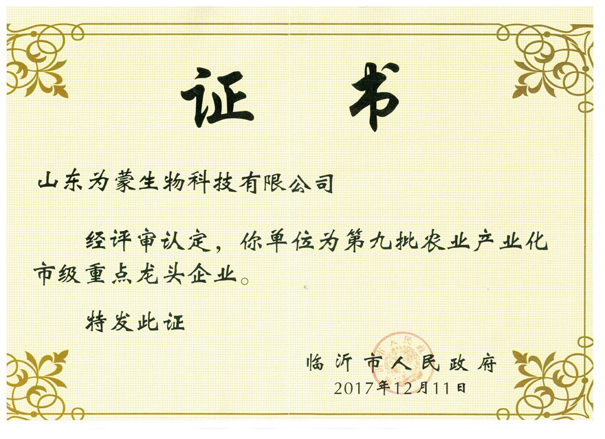 荣誉证书