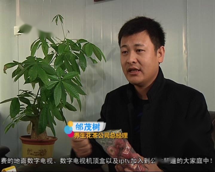 花茶下集最新版