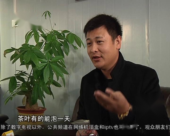 花茶上集最新版