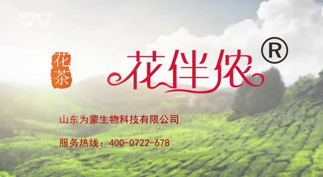 台标版.清心茶